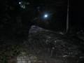 ricky`s theme