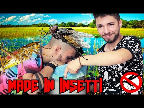 Immagine anteprima YouTube