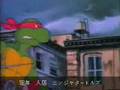 Teenage Mutant Ninja Turtles SORAMIMI