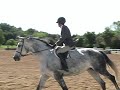 Romanza Jumping at Her First Show