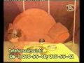 Anettka any�z�s