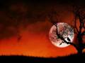 Ke�kelerle Dolu Son Bahar