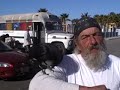 Raven a wild bird that loves this man at venice Raven a wild bird that loves this man at venice