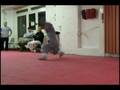 Shaolin Wheel of Life perform at Tang Long Kung Fu School