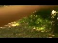ekol.avi