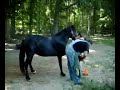 Bart gets his feet trimmed - first time here