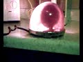 KD Lamp Company Starsky&Hutch/Kojack Light