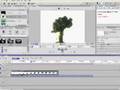 Adobe Premiere Elements 2.0 Compositing