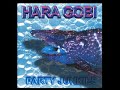 Hara Gobi - Party Junkie