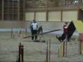 videos de Agility 1er degré Laufen 08 11 08