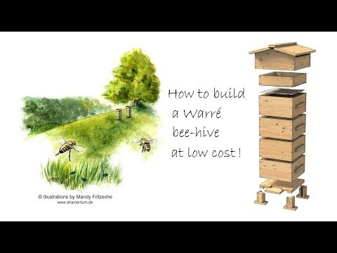 How to Build a Warre Beehive