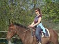 Palladius a cavallo