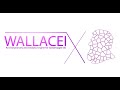 Wallacei X: Understanding The Component Logo
