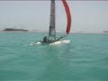 minaseyahi cat coaching