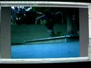 re-dogtown-then-now-.html