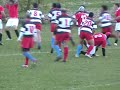 Norcia Rugby vs Legio Picena 08 (4 di 4)