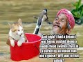Very Funny Cats 75