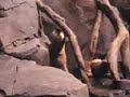 animal dance animal dance