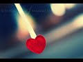 Dj Vick & Amalia-Let me love you