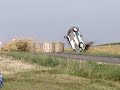 rallye deutschland 2008   day2   ss9   crash latvala