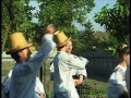 Romanian Traditional Dance - Transylvania