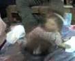 Clip Dos Little Doll