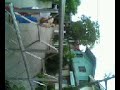 bvlc grade 5-6 yr.09-10