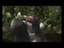 قتال من اجل الحب fight for love