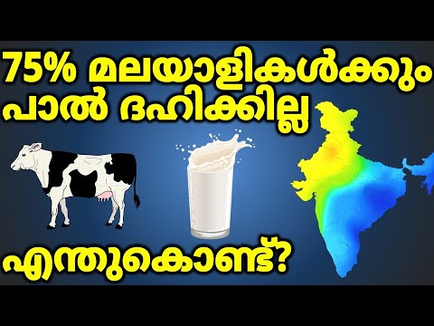 75% മലയാളികൾക്കും പാൽ ദഹിക്കാത്തതെന്തുകൊണ്ട്? Lactose Intolerance Explained.