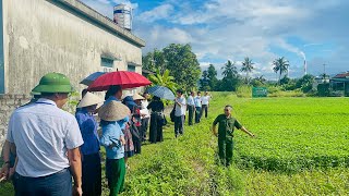 Tổng kết mô hình sử dụng thử nghiệm phân bón hữu cơ vi sinh VN3 trên cây rau muống tại khu 11, phường Quang Trung