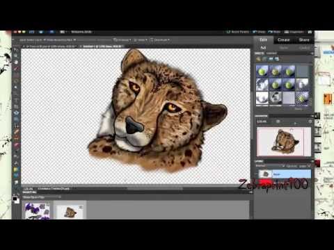 cheetah snarl