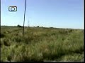 tren de fepsa saliendo de vértiz