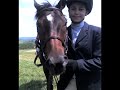 My Horse Sebastian