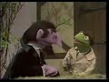 sesame street news flash: the count counts the 3 pigs