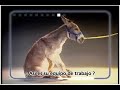 Hora de Cambiar de empleo