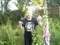 peanut plant boy