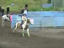 Quesnel Barrel Race June 13 08\ Quesnel Barrel Race June 13 08\