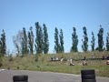 IDSM-07 Berlin1 Klasse3 Start Race1 (Scooter-Rennen Zip SP)