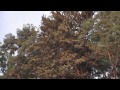Bad Münder am Deister - Unterwegs in Niedersachsen (Folge 9)