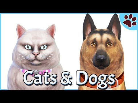 GERMAN SHEPHERD & BRITISH LONGHAIR CAT | CREATE A PET | The Sims 4 Cats and Dog Let's Play!