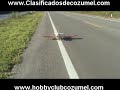 hobbyclubcozumel
