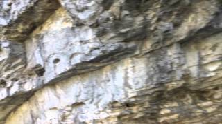 Logan Canyon Utah Trails and Hiking