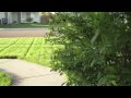 This video is a showcase of what this camera will do when standing nearly still, and surroundings moving around it. This mode's quality is nothing spectacular. Due to the extremely small size of the camera, however, it may be worth considering if portability is your key measure.