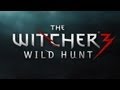 The Witcher 3 Wild Hunt E3 2013 GAMEPLAY REVEAL! HD]