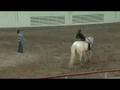 videos de Horsemanship Drills: Hunt Seat Drills at the Walk, eXtension