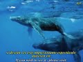 Vigilia de las ballenas en Puerto Pir�mides