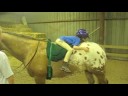 Horses Hot N\