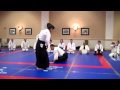 Pimsler Sensei: Ushiro iriminage