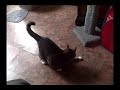 Spinning Circles!