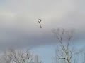 Flying with a Neu motor